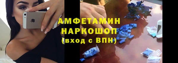 мдпв Пересвет