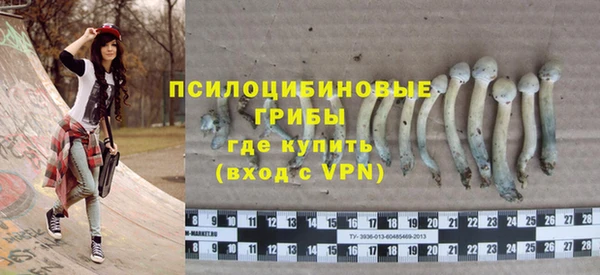 героин Алзамай