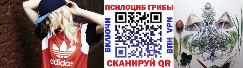 цена   Черкесск  Псилоцибиновые грибы мухоморы 