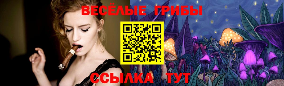 где купить наркоту  Галлюциногенные грибы мицелий  Вход с VPN  Черкесск 
