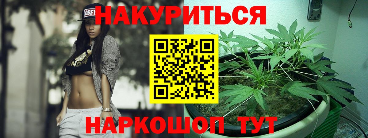 Шишки марихуана SATIVA & INDICA  Шишки марихуана OG Kush  Черкесск  Бошки Шишки сатива  Вход с VPN 